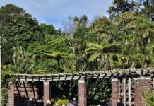 ‘어메이징 그레이스’