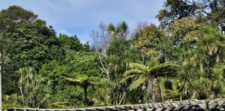 ‘어메이징 그레이스’