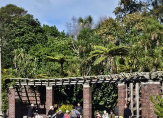 ‘어메이징 그레이스’