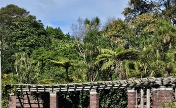 ‘어메이징 그레이스’