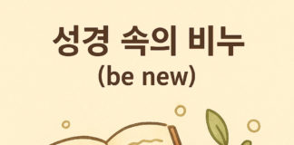 성경 속의 비누(be new)