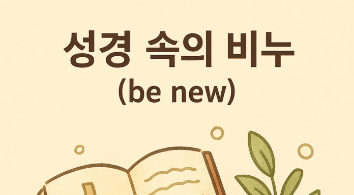 성경 속의 비누(be new)