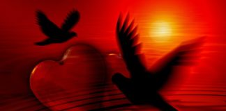 “The gift of righteousness – 의의 선물”