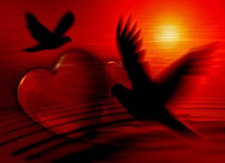 “The gift of righteousness – 의의 선물”