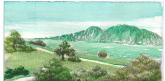 Grateful for the Gentle Days(2025작품)