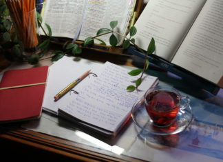 십자가 이전 7일 동안의 상상력 – 이정명,『밤의 양들』