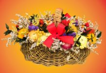 밀알 30년, 럭비공, 그리고 사랑