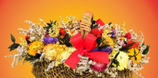 밀알 30년, 럭비공, 그리고 사랑