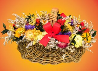 밀알 30년, 럭비공, 그리고 사랑