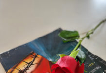 2025년 뉴질랜드 한인 교계 총정리