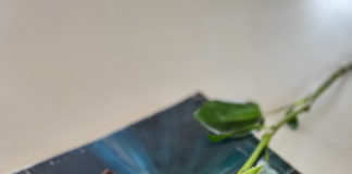 2025년 뉴질랜드 한인 교계 총정리