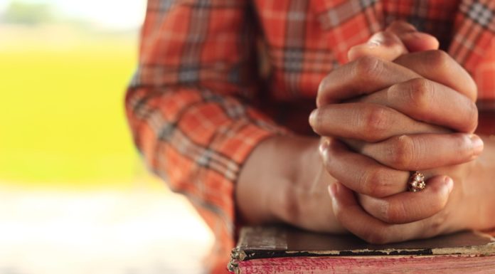 NZ 국가중보회 주요 기도 내용