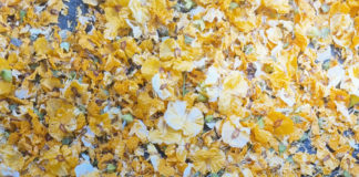 바벨론의 멸망과 어린 양의 혼인 잔치