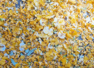 바벨론의 멸망과 어린 양의 혼인 잔치