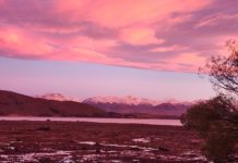 요한계시록을 여는 열쇠로서의 예배