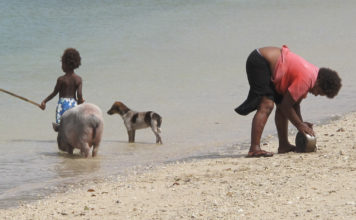 아버지의 시선이 멈춘 곳