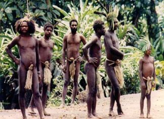 바누아투에서 이런 일이