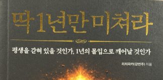 딱 1년만 미쳐라