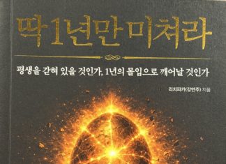 딱 1년만 미쳐라