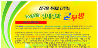 (510호 광고)서부에바다교회, 천국을 주제로 다루는 우리들의 전체성과 굳 무빙 세미나